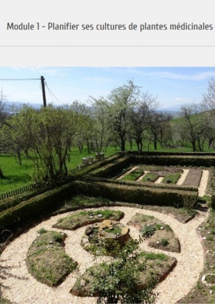 Cultiver et transformer les plantes médicinales - 2026 Module 1 - Planifier ses cultures - Formations