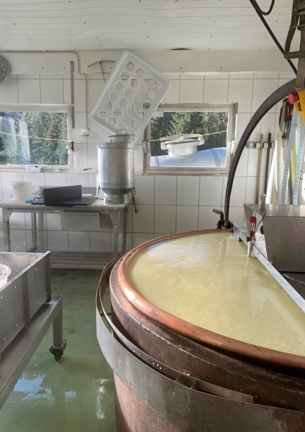 Démonstration de la fabrication de fromages - Loisirs