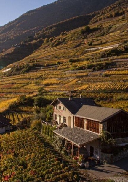 Pass journalier - Automne en poésie 2026 - Kultur und Spektakel - Domaine Chappaz