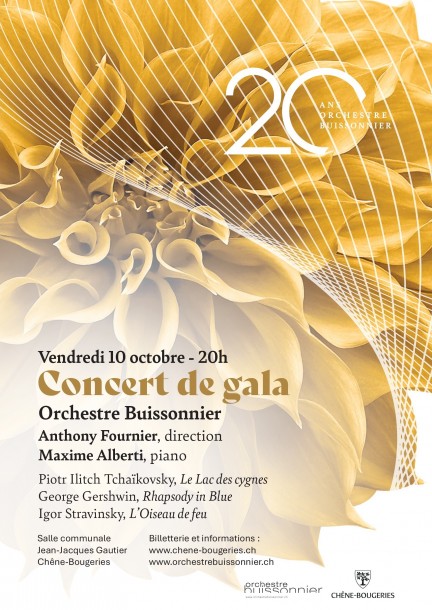 Concert de Gala - Orchestre Buissonnier 20ème anniversaire - Musique classique