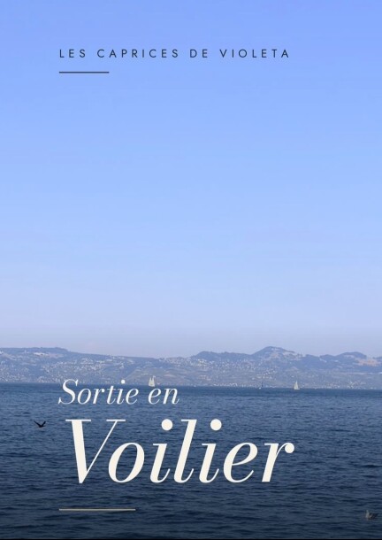 Balade en voilier sur le Léman - Touren und Besuche
