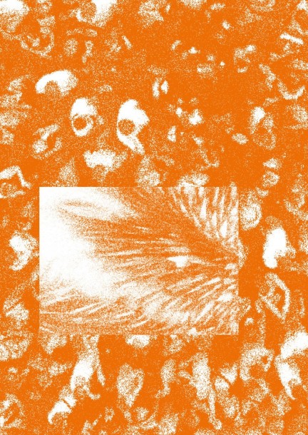 CORO - Concerts - Victoria Hall