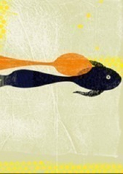 L'OMBRE DES CHOSES - Theatre and performing arts