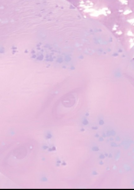 dianita | Concert - Concerts - La Centrale