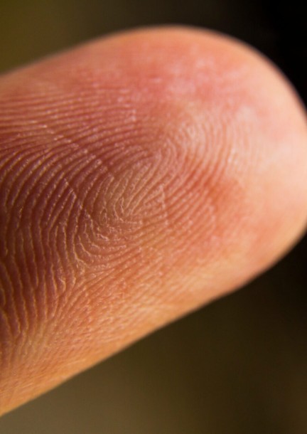 Atelier pédagogique - L'être humain est unique - Workshops and courses