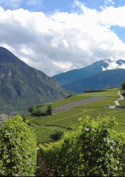 Masterclass — Les vins du Valais, avec Yanna Delière - Ateliers et stages - Fol'Terre