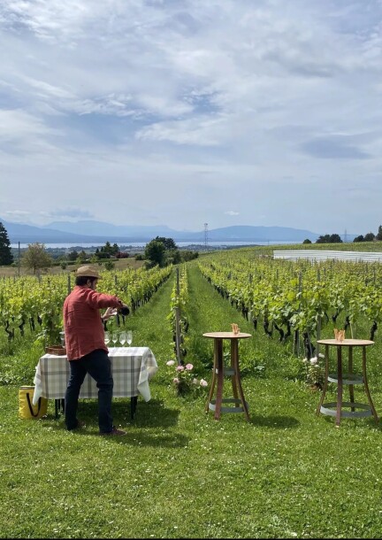 Les Pépites des Vignes - Balades et visites - Chez les vigneron·nes