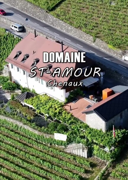 Solstice Session - Festivals - Domaine St-Amour