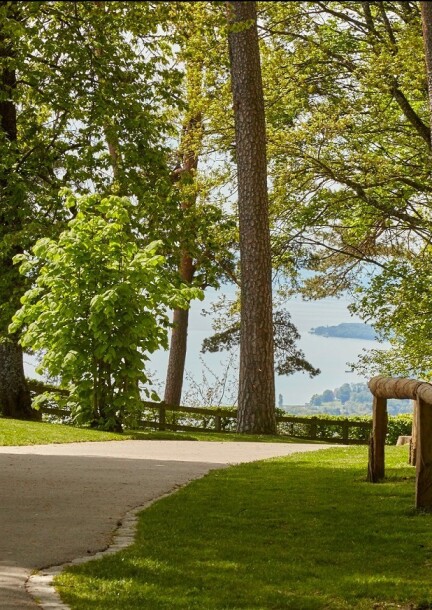 31es Rencontres vaudoises de pneumologie - Formations