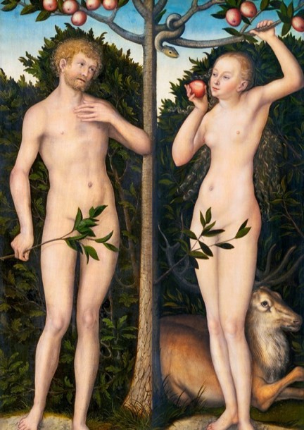 Voyage au pays de Cranach (conférence à 360°) - Conférences