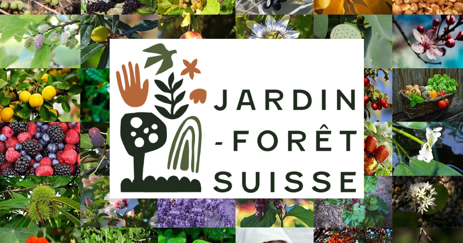 Jardin-Forêt Suisse